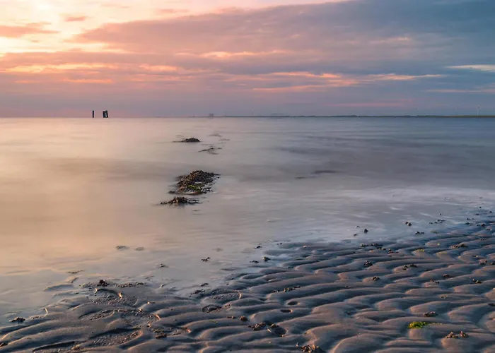 Austernperle Dagebüll